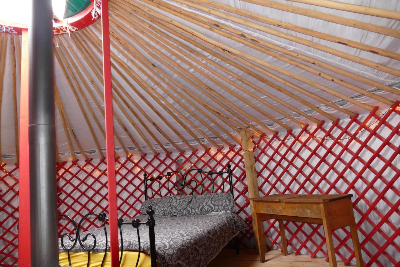 Alder Yurt Wych Elm Glamping Hotel Helston Exterior foto